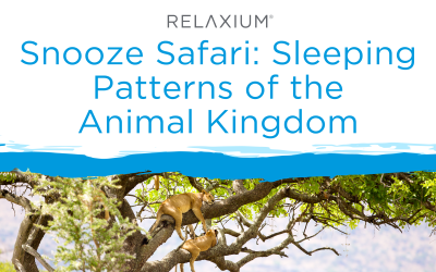 Snooze Safari: Sleeping Patterns of the Animal Kingdom